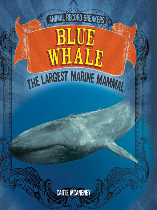 Title details for Blue Whale: The Largest Marine Mammal by Caitie McAneney - Available